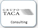 Grupo Taca, consulting